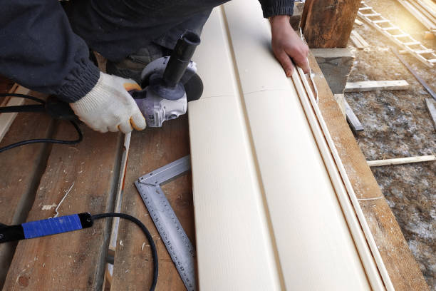 Best Fiber Cement Siding Installation  in Janesville, IA